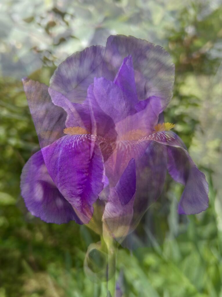 PHOTO-2026-03-04-20-31-41